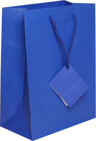 Blue Medium Matte Gift Bags (8 x 10 x 4)