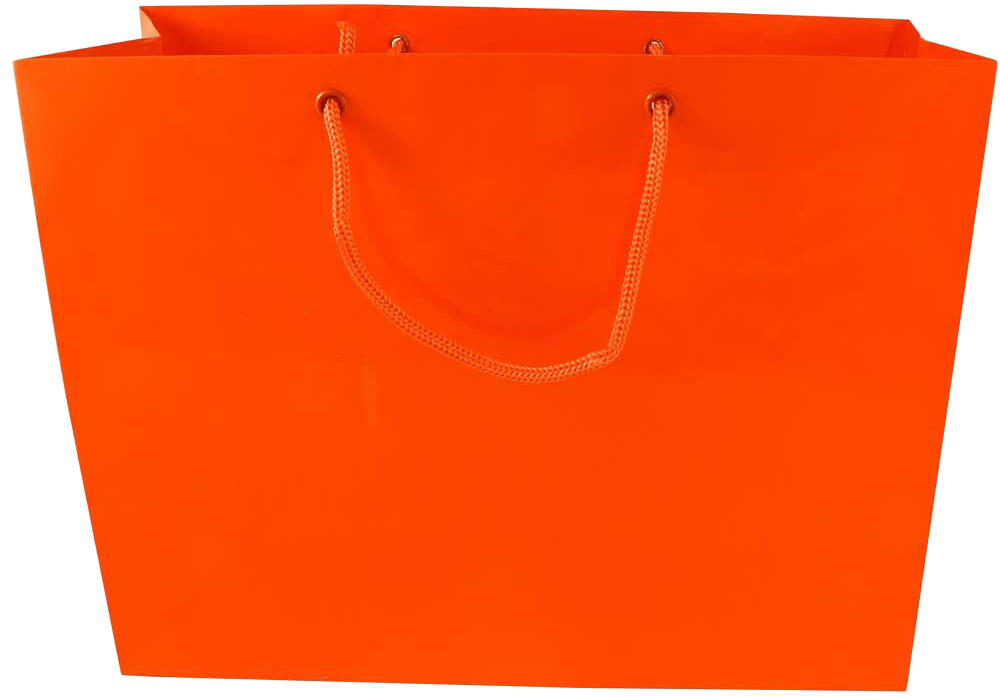 Orange Large Glossy Horizontal Gift Bags (13 x 10 x 5)