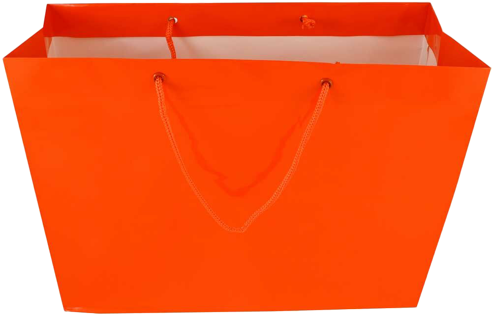 Orange Large Glossy Horizontal Gift Bags (13 x 10 x 5)