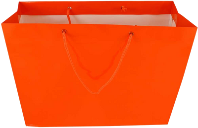 Orange Large Glossy Horizontal Gift Bags (13 x 10 x 5)