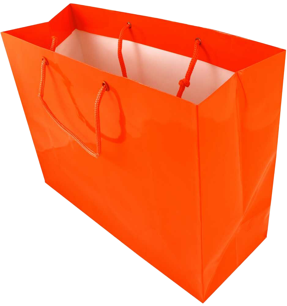 Orange Large Glossy Horizontal Gift Bags (13 x 10 x 5)
