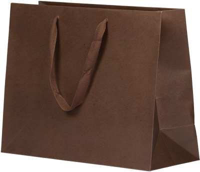 Chocolate Brown Kraft Large Matte Heavy Duty Horizontal Gift Bags (13 x 10 x 5)