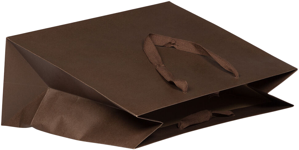 Chocolate Brown Kraft Large Matte Heavy Duty Horizontal Gift Bags (13 x 10 x 5)