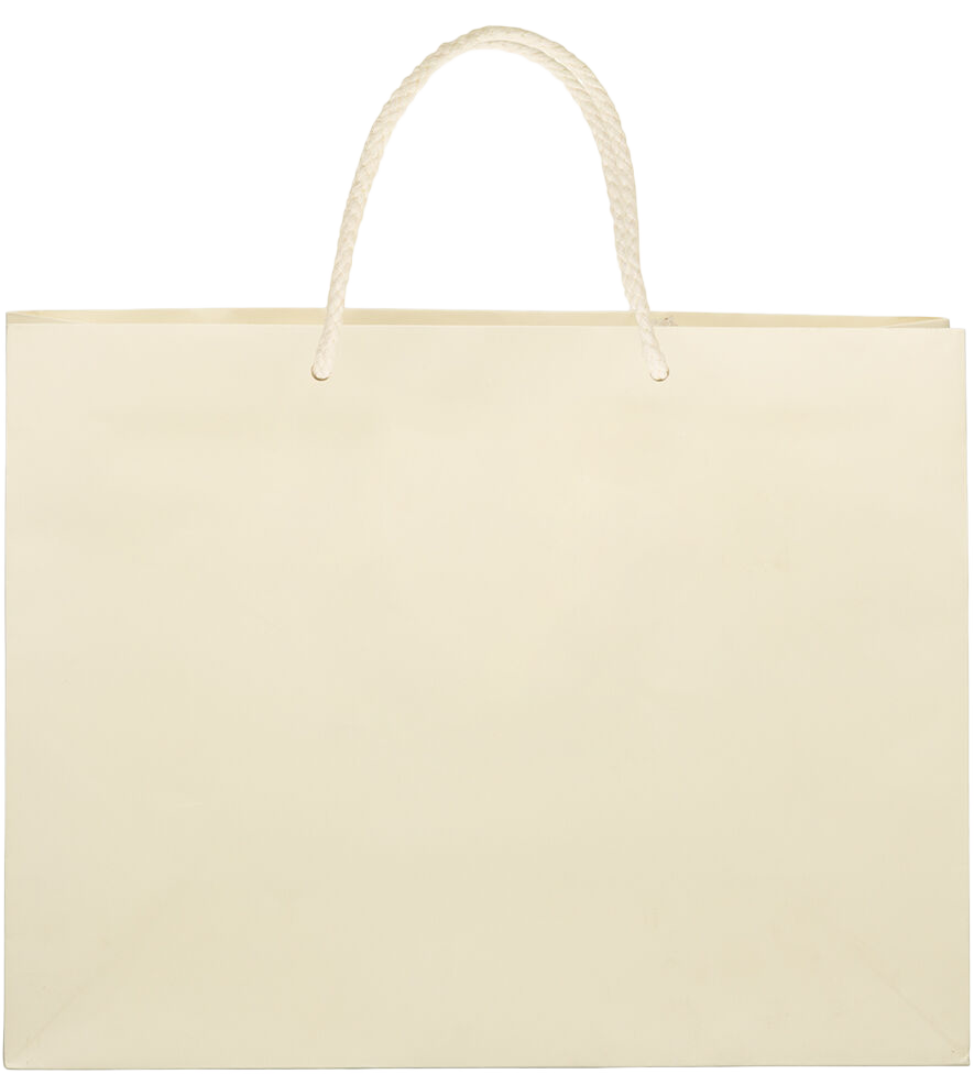 Ivory Large Matte Horizontal Gift Bags (13 x 10 x 5)