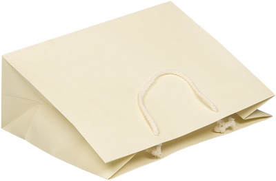 Ivory Large Matte Horizontal Gift Bags (13 x 10 x 5)