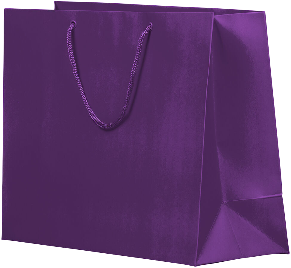 Purple X-Large Matte Horizontal Gift Bags (16 x 12 x 6)