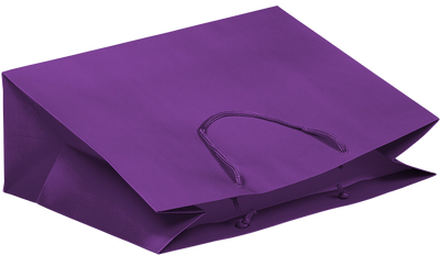 Purple X-Large Matte Horizontal Gift Bags (16 x 12 x 6)