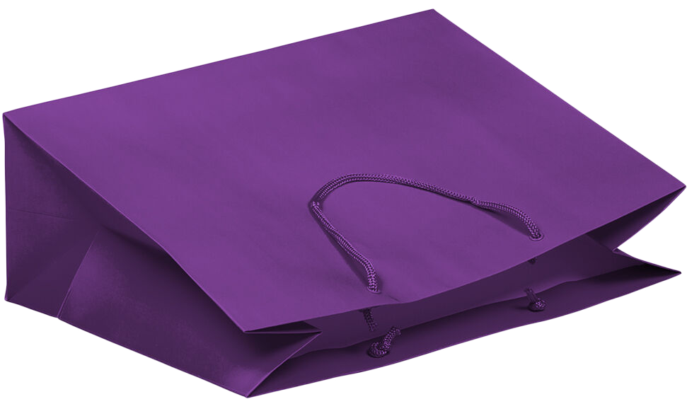 Purple X-Large Matte Horizontal Gift Bags (16 x 12 x 6)