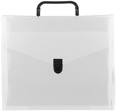 Clear 10 x 12 x 4 Plastic Carry Cases with Black Buckle