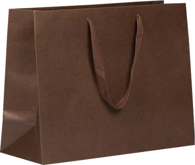 Chocolate Brown Kraft Large Matte Heavy Duty Horizontal Gift Bags (13 x 10 x 5)