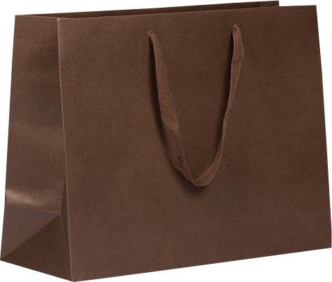 Chocolate Brown Kraft Large Matte Heavy Duty Horizontal Gift Bags (13 x 10 x 5)