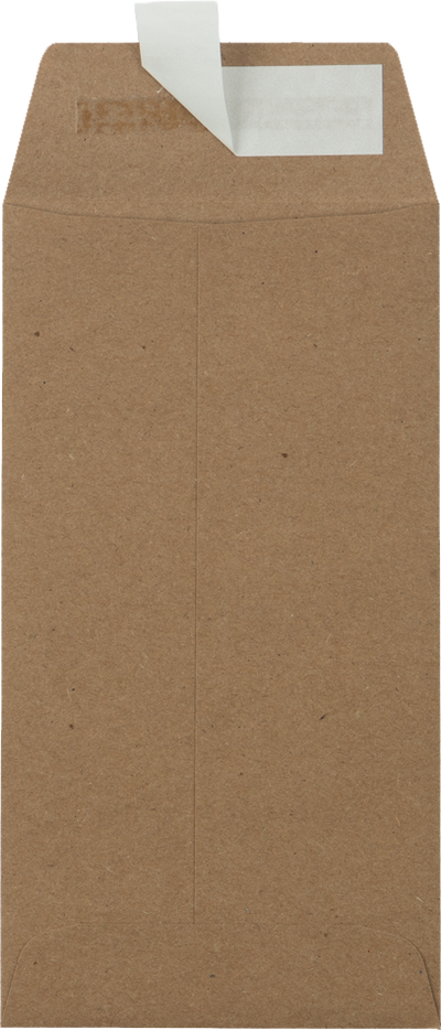 Grocery Bag 28lb #7 Coin Envelopes (3 1/2 x 6 1/2) with Peel & Seal
