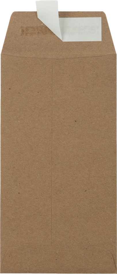 Grocery Bag 28lb #7 Coin Envelopes (3 1/2 x 6 1/2) with Peel & Seal
