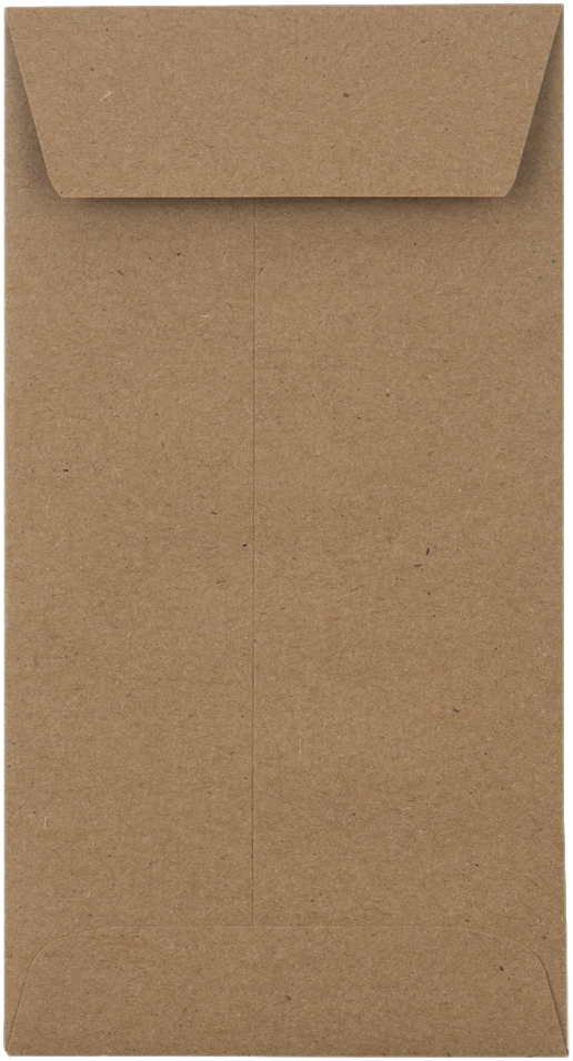 Grocery Bag 28lb #7 Coin Envelopes (3 1/2 x 6 1/2) with Peel & Seal