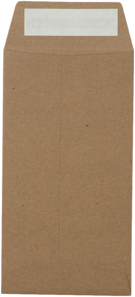 Grocery Bag 28lb #7 Coin Envelopes (3 1/2 x 6 1/2) with Peel & Seal