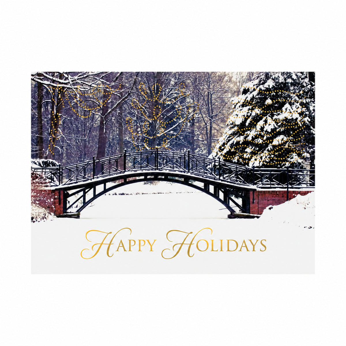 Winter Beauty 80lb 7 x 5 Foldover Card Set