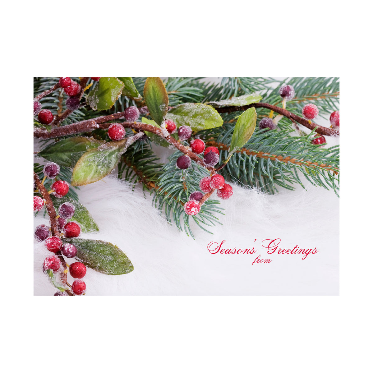 Snowy Berries 80lb 7 x 5 Foldover Card Set
