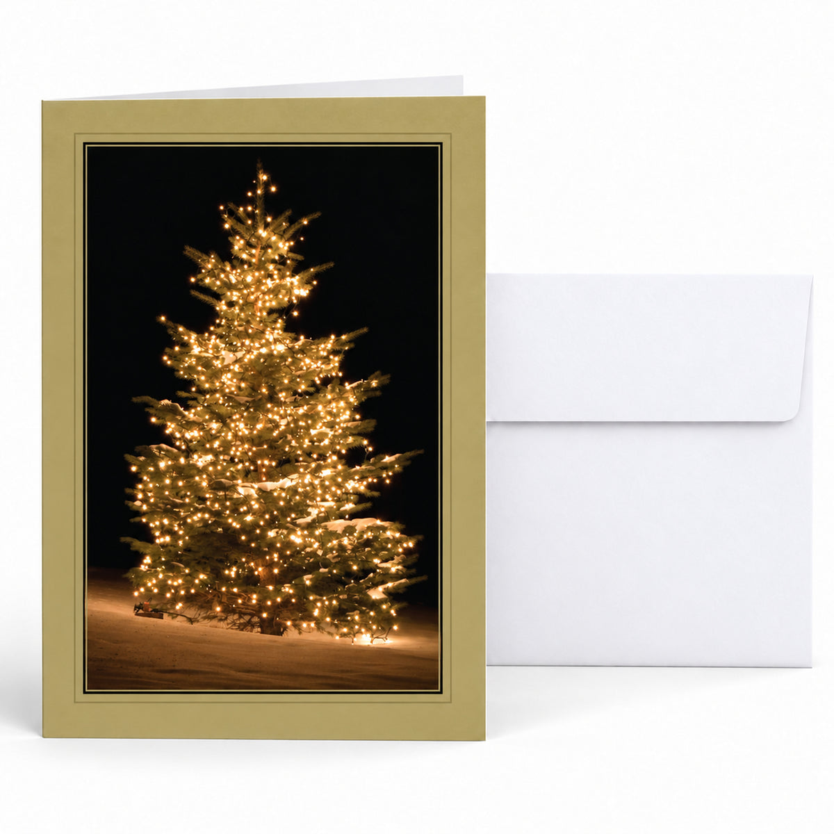 Frosted Elegance 80lb 5 x 7 Foldover Card Set