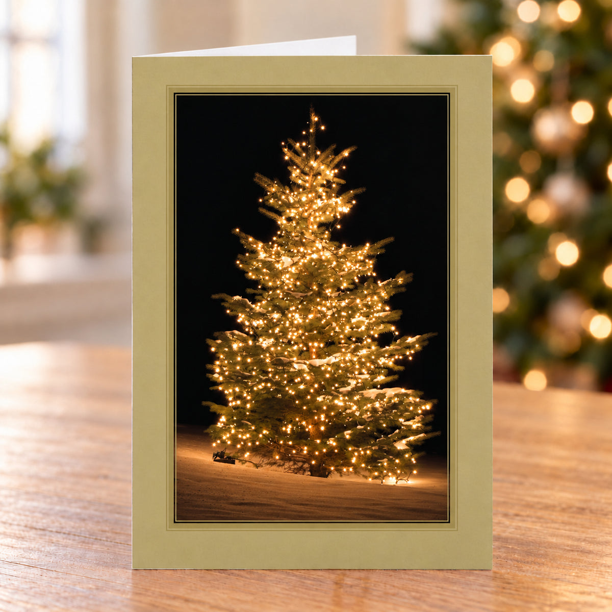 Frosted Elegance 80lb 5 x 7 Foldover Card Set