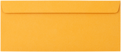 Brown Kraft 28lb #12 Regular Envelopes (4 3/4 x 11)
