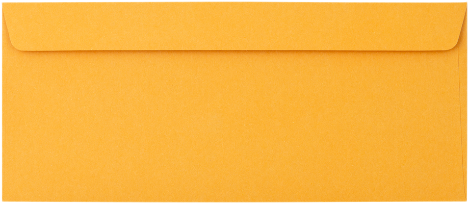 Brown Kraft 28lb #12 Regular Envelopes (4 3/4 x 11)