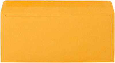 Brown Kraft 28lb #12 Regular Envelopes (4 3/4 x 11)
