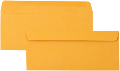 Brown Kraft 28lb #12 Regular Envelopes (4 3/4 x 11)