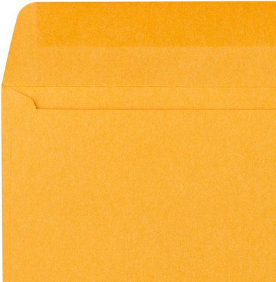 Brown Kraft 28lb #12 Regular Envelopes (4 3/4 x 11)