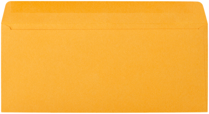 Brown Kraft 28lb #12 Regular Envelopes (4 3/4 x 11)