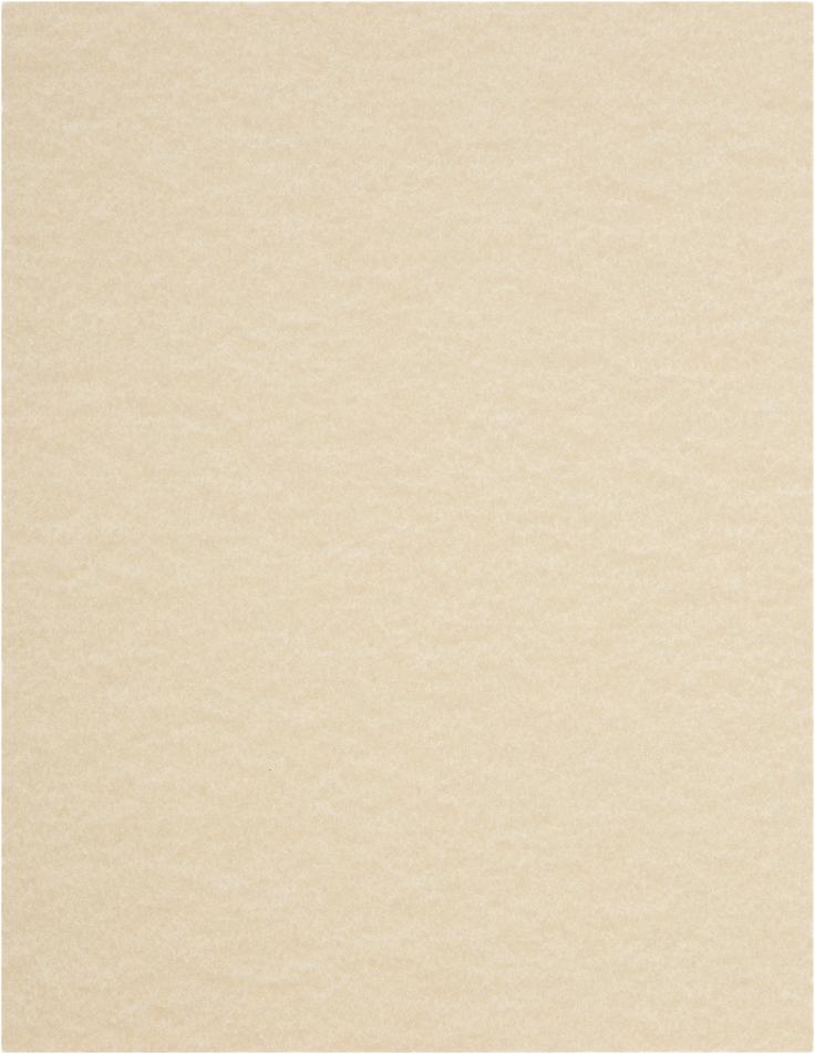 Cream Parchment 65lb 8 1/2 x 11 Cardstock