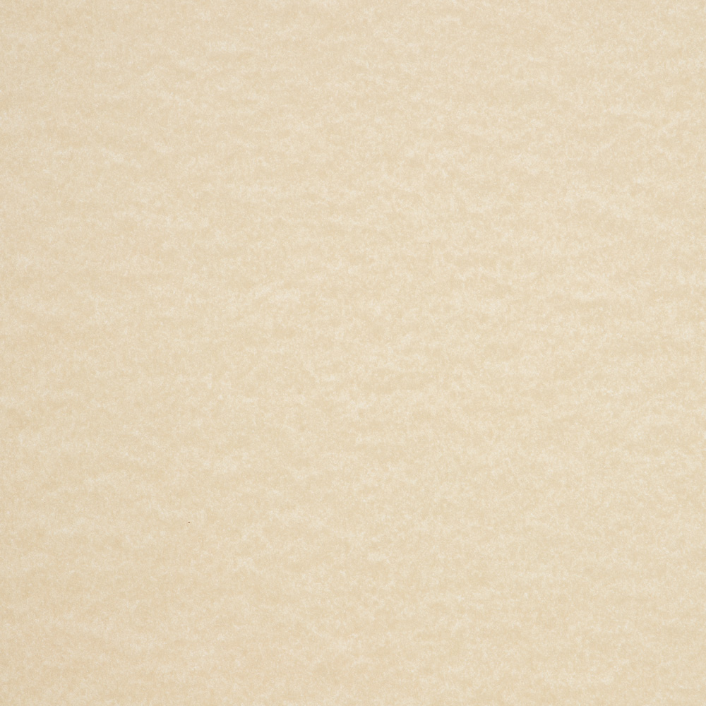 Cream Parchment 65lb 8 1/2 x 11 Cardstock