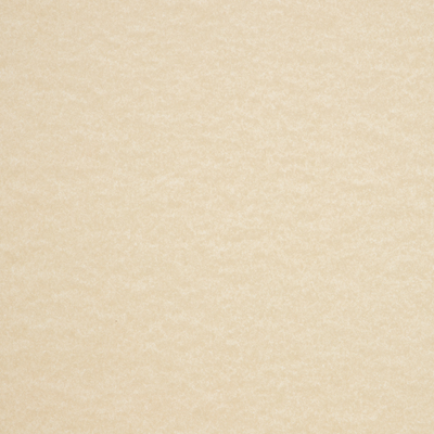 Cream Parchment 65lb 8 1/2 x 11 Cardstock