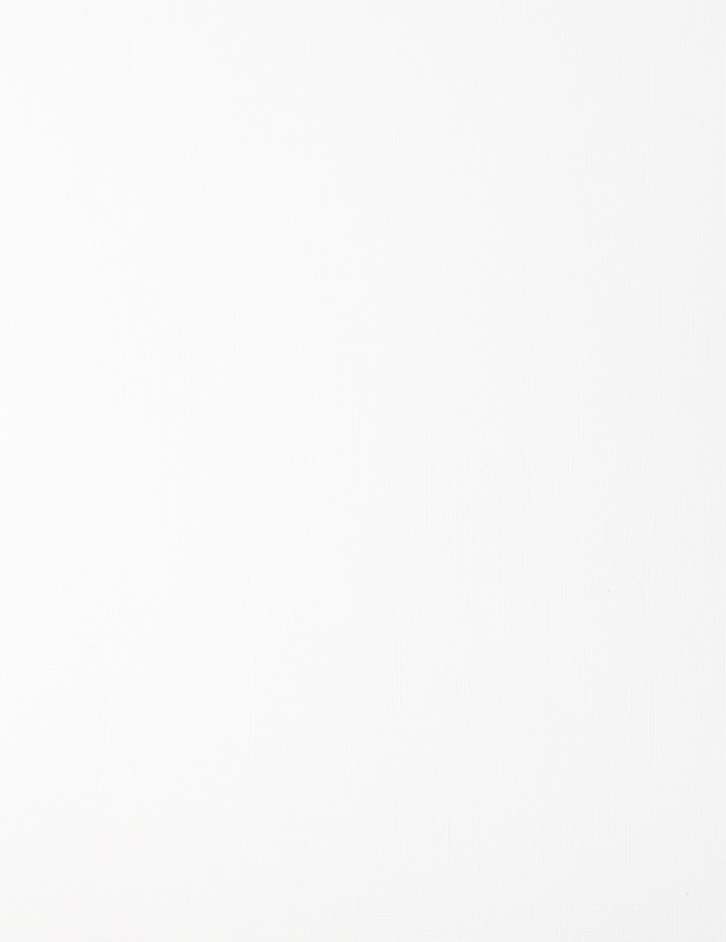 White Linen 100lb 8 1/2 x 11 Cardstock