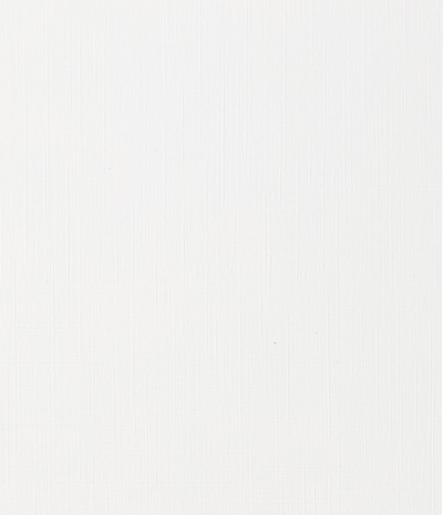 White Linen 100lb 8 1/2 x 11 Cardstock