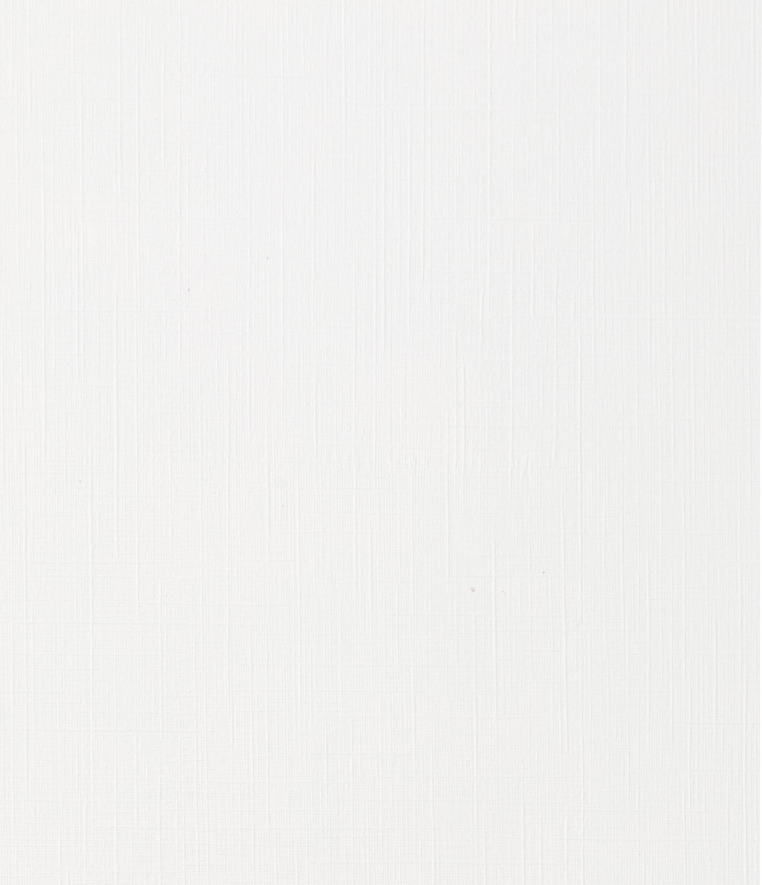 White Linen 100lb 8 1/2 x 11 Cardstock
