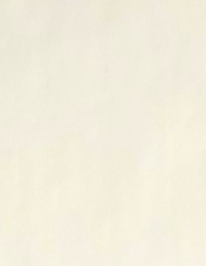 Natural White Recycled 80lb 8 1/2 x 11 Cardstock