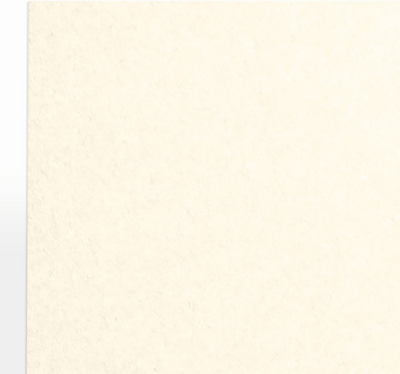 Champagne Ivory Metallic 105lb 8 1/2 x 11 Cardstock