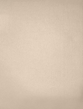 Light Brown Taupe Metallic 105lb 8 1/2 x 11 Cardstock