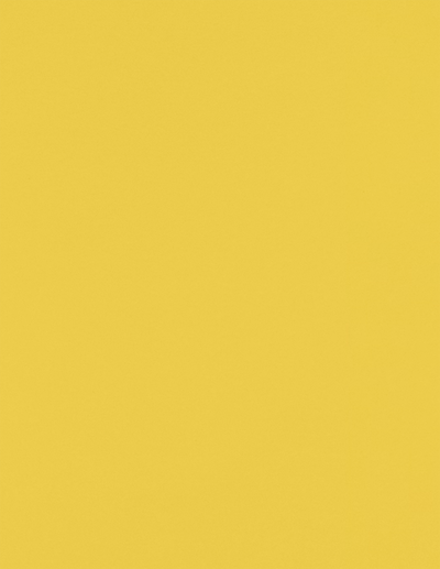 Goldenrod 24lb 8 1/2 x 11 Paper