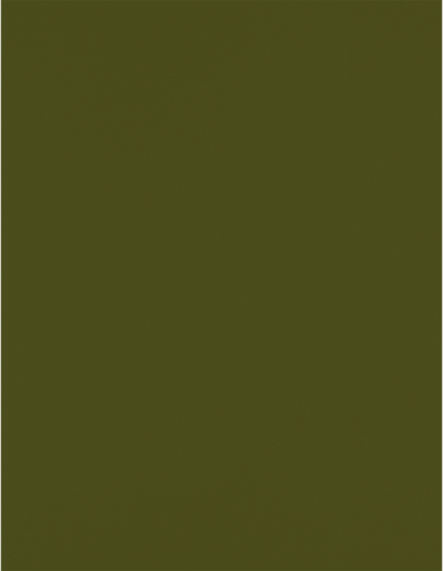 Green Olive 28lb 8 1/2 x 11 Paper