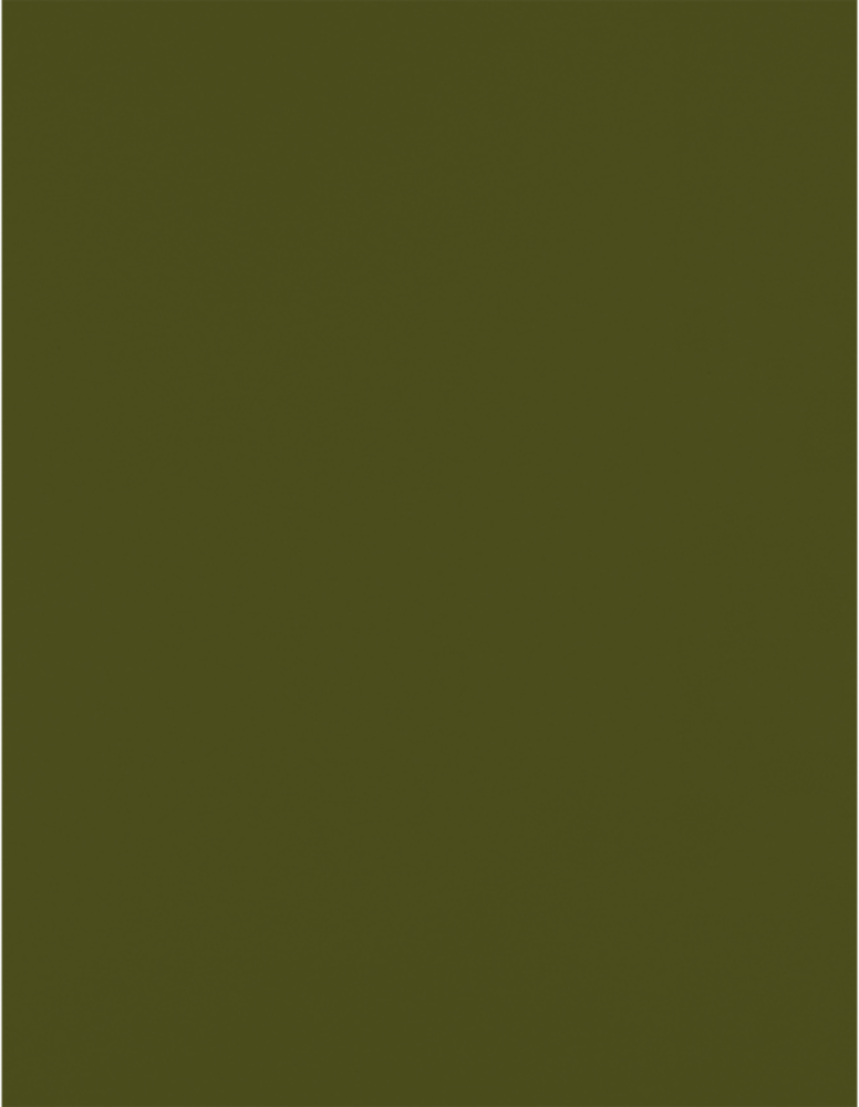 Green Olive 28lb 8 1/2 x 11 Paper