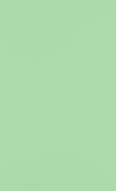 Pastel Green 24lb 8 1/2 x 14 Paper