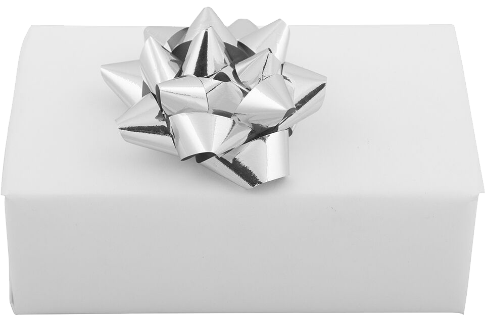 Silver 3 1/2 Inch Small Gift Bows - 12 Pack