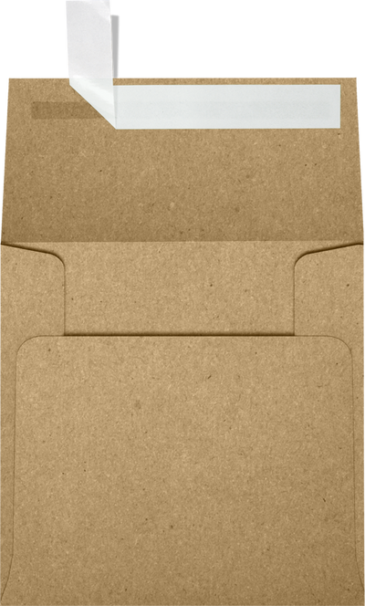 Grocery Bag 28lb 4 x 4 Square Envelopes with Peel & Seal