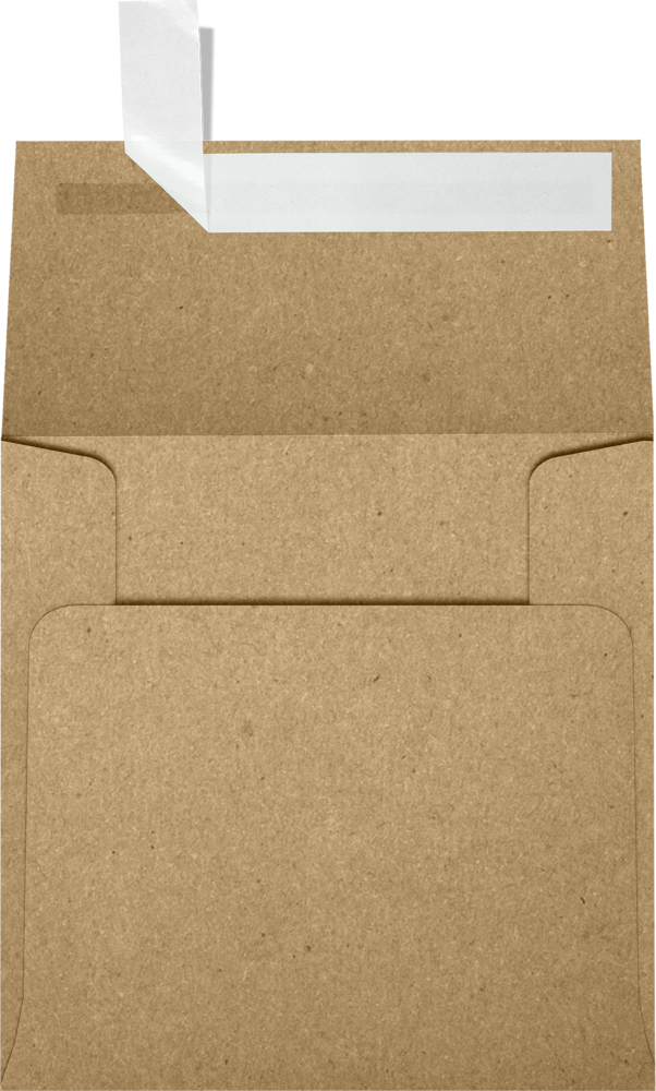 Grocery Bag 28lb 4 x 4 Square Envelopes with Peel & Seal