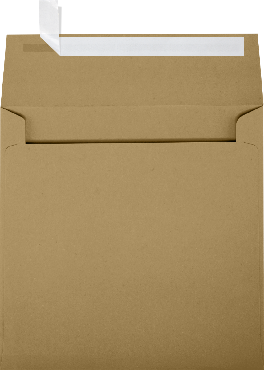Grocery Bag 28lb 5 1/4 x 5 1/4 Square Envelopes with Peel & Seal