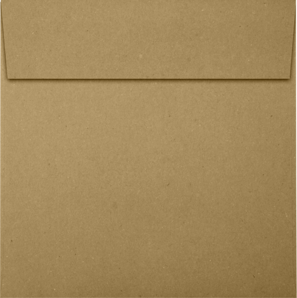 Grocery Bag 28lb 5 1/2 x 5 1/2 Square Envelopes with Peel & Seal