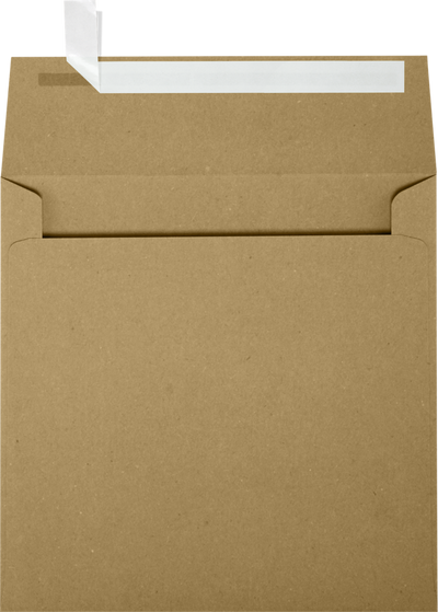 Grocery Bag 28lb 5 1/2 x 5 1/2 Square Envelopes with Peel & Seal