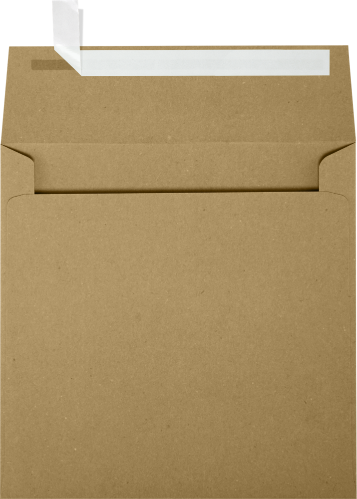 Grocery Bag 28lb 5 1/2 x 5 1/2 Square Envelopes with Peel & Seal