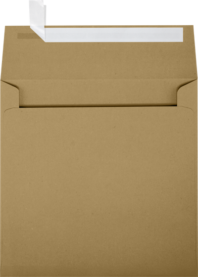 Grocery Bag 28lb 5 3/4 x 5 3/4 Square Envelopes with Peel & Seal